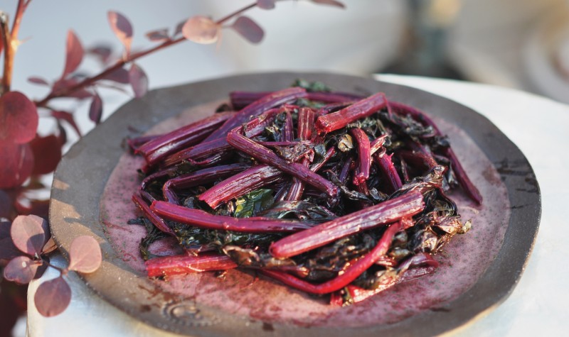 ????????????????????????????????????